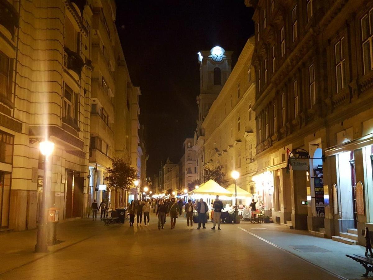 Like Studio City Centrum, Wifi, Terrace Будапешт Экстерьер фото